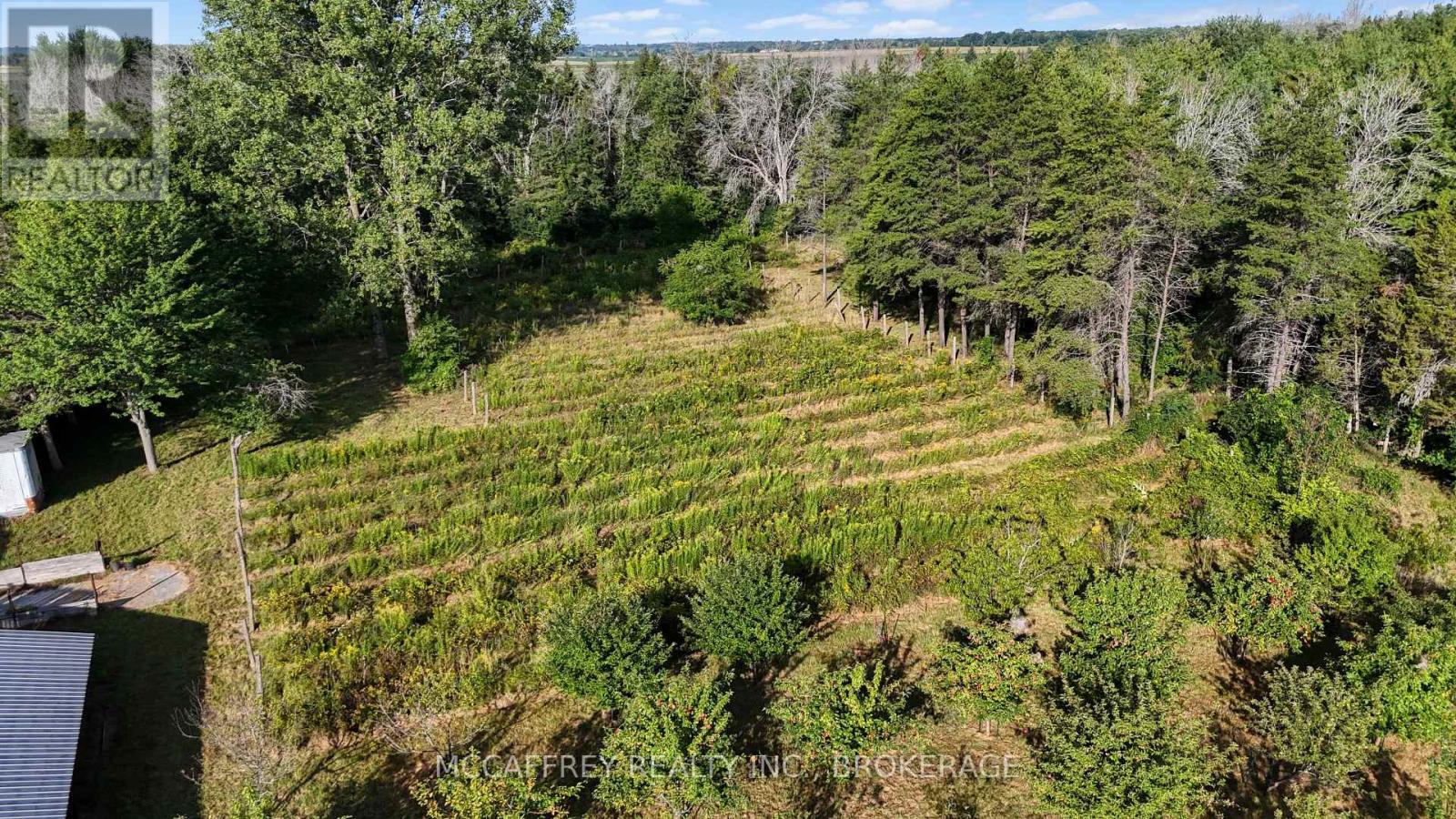 4563 COUNTY RD 9 - Image 46