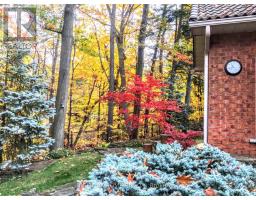 2175 Oneida Court, Mississauga, ON L5C4G5 Photo 39