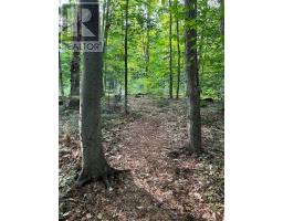 99 Forest View Road, Bancroft, ON K0L1C0 Photo 11