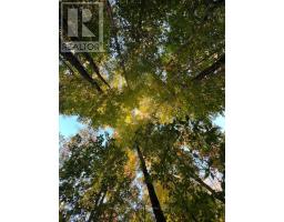 99 Forest View Road, Bancroft, ON K0L1C0 Photo 12