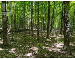 99 Forest View Road, Bancroft, ON K0L1C0 Photo 10