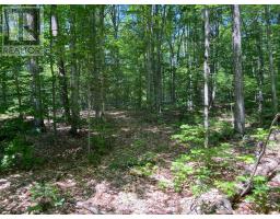 99 Forest View Road, Bancroft, ON K0L1C0 Photo 23