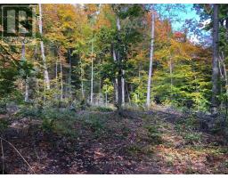 99 Forest View Road, Bancroft, ON K0L1C0 Photo 14