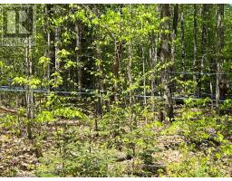 99 Forest View Road, Bancroft, ON K0L1C0 Photo 17