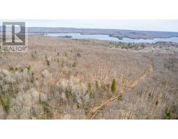 99 Forest View Road, Bancroft, ON K0L1C0 Photo 26
