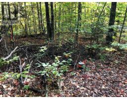 99 Forest View Road, Bancroft, ON K0L1C0 Photo 13