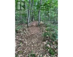 99 Forest View Road, Bancroft, ON K0L1C0 Photo 16