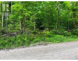 99 Forest View Road, Bancroft, ON K0L1C0 Photo 20