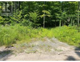 99 Forest View Road, Bancroft, ON K0L1C0 Photo 21