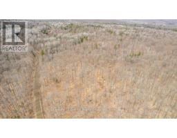 99 Forest View Road, Bancroft, ON K0L1C0 Photo 27