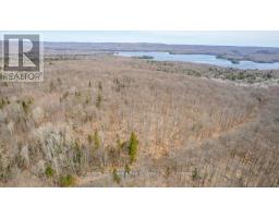 99 Forest View Road, Bancroft, ON K0L1C0 Photo 25