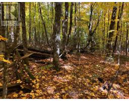 99 Forest View Road, Bancroft, ON K0L1C0 Photo 8