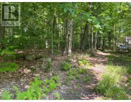 99 Forest View Road, Bancroft, ON K0L1C0 Photo 24
