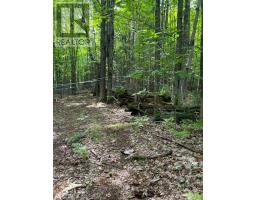 99 Forest View Road, Bancroft, ON K0L1C0 Photo 7