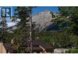 Furnace - 905a Bridge Road, Canmore, AB T1W2E5 Photo 8
