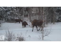 8316 Hwy 16a, Rural Yellowhead, AB T0E0T0 Photo 11
