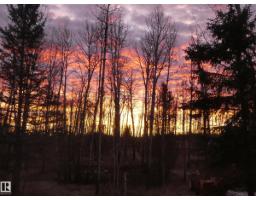 Laundry room - 8316 Hwy 16a, Rural Yellowhead, AB T0E0T0 Photo 10