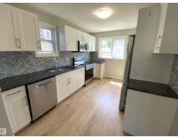 Recreation room - 12010 66 St Nw, Edmonton, AB T5B1J6 Photo 7