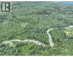 37 Highway, Kitwanga, BC V0J2A0 Photo 7