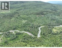 37 Highway, Kitwanga, BC V0J2A0 Photo 6