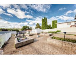 3311 104 Av Nw, Edmonton, AB T5W0A8 Photo 49