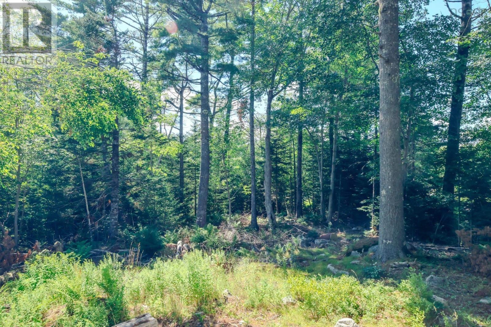 Property 2 of 3 of 75 Annapolis Road