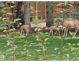 14 Highlands Pl, Wetaskiwin, AB T9A3G9 Photo 71