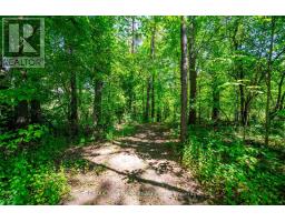 5146 Cherry Street, Whitchurch Stouffville, ON L4A3X8 Photo 43