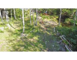 99 Farfields Lane, Beaver Bank, NS B4G1E2 Photo 12