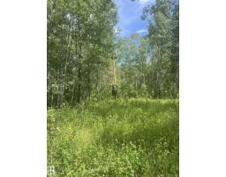 502 Highland Rd, Rural Wetaskiwin County, AB T0C2C0 Photo 15