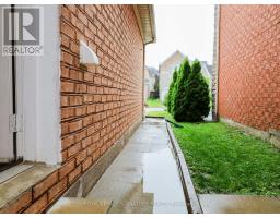 1 Bed 1bath Basement - 77 Rushingbrook Drive, Richmond Hill, ON L4S1X4 Photo 13