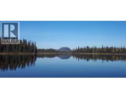 Livingstone Island, Prince George, BC V0J2S0 Photo 40