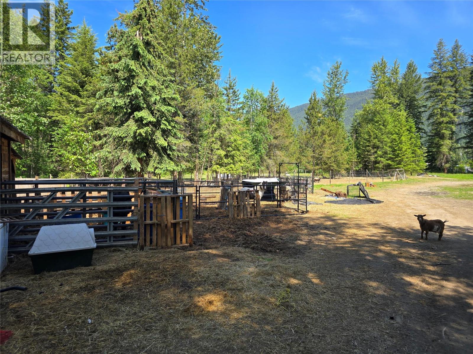 268 Birch Road - 25