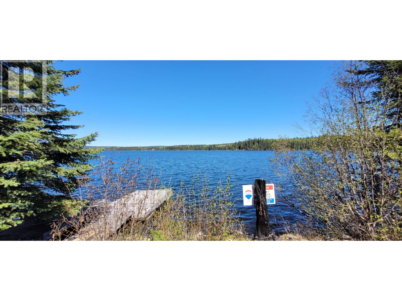 41100 S BEDNESTI LAKE ROAD - 2