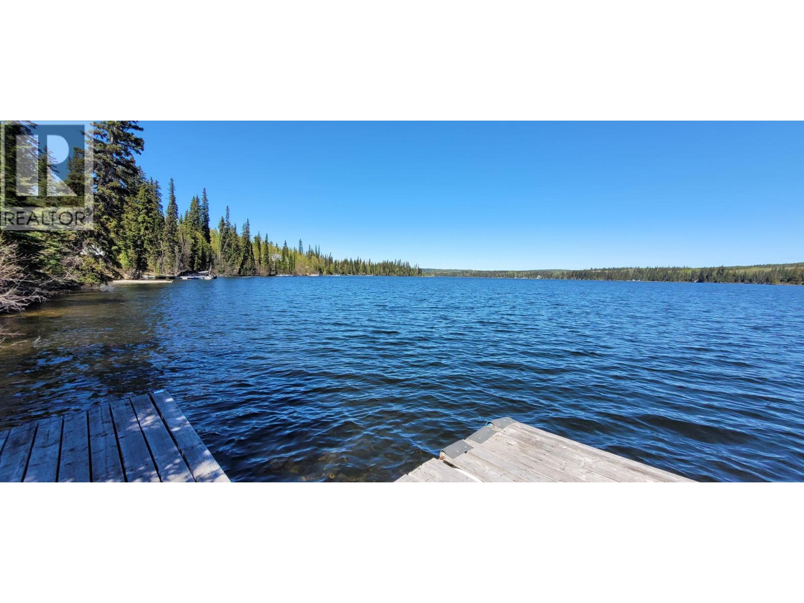 41100 S BEDNESTI LAKE ROAD - Image 4