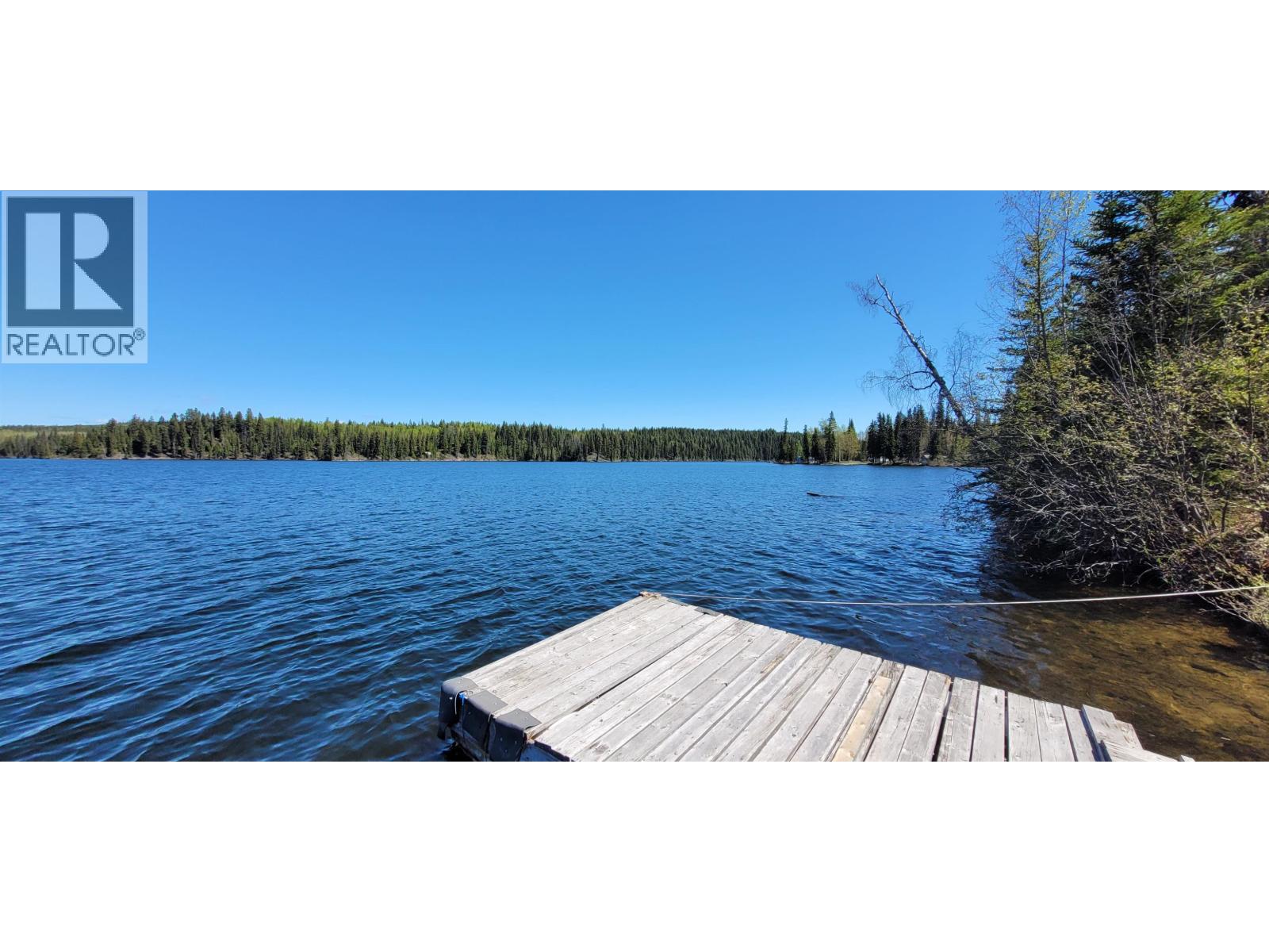 41100 S BEDNESTI LAKE ROAD - 5