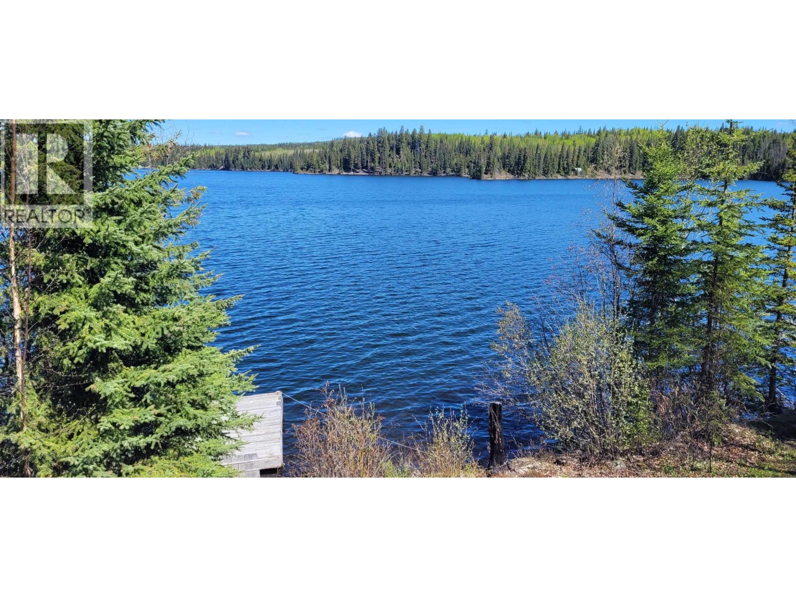 41100 S BEDNESTI LAKE ROAD - 29