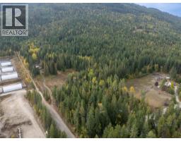 4540 Eagle Bay Road, Eagle Bay, BC V0E1T0 Photo 11