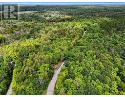 326 Wardens Road, Lanark Highlands, ON K0A1P0 Photo 19