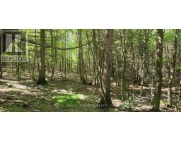 326 Wardens Road, Lanark Highlands, ON K0A1P0 Photo 8
