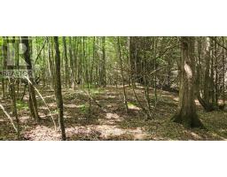 326 Wardens Road, Lanark Highlands, ON K0A1P0 Photo 9