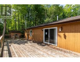 59 Forest Hill Drive, Adjala Tosorontio, ON L0M1J0 Photo 28