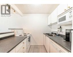 304, 317 14 Avenue SW - photo 7