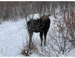 #120 50535 Rge Rd 233, Rural Leduc County, AB T4X0L4 Photo 54