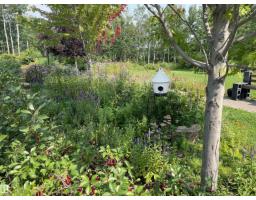 #120 50535 Rge Rd 233, Rural Leduc County, AB T4X0L4 Photo 53