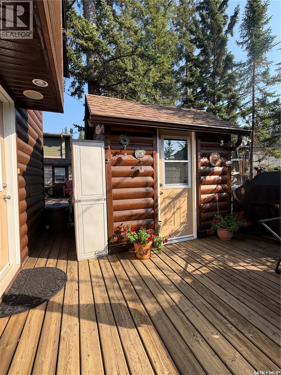 Eagle - Waskesiu Lake - Image 15