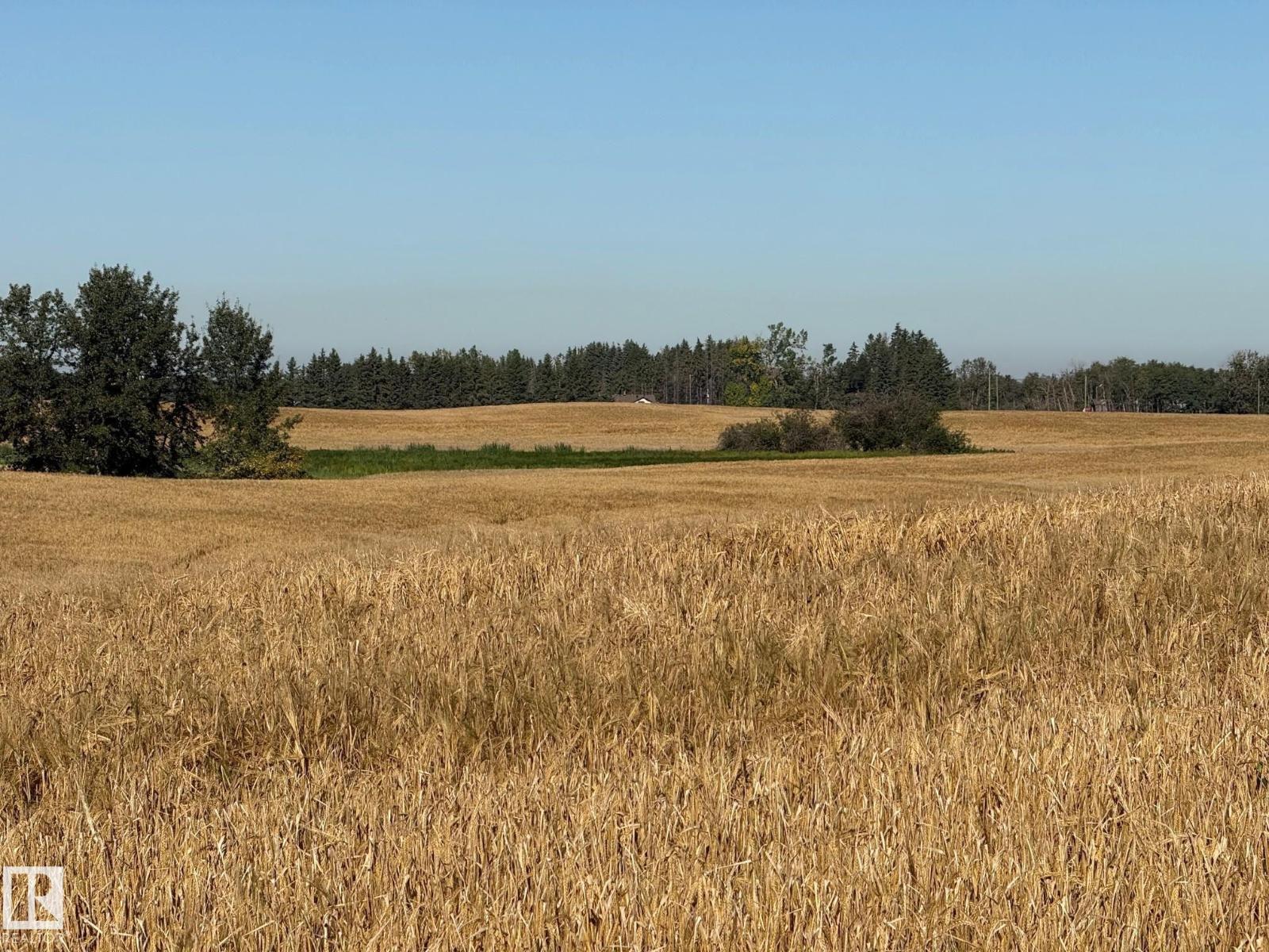 RR 205A & Twp Rd 542 - Photo 5