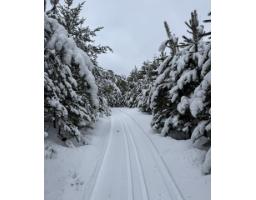 65 Ch. Des Pins, Kazabazua, QC J0X1X0 Photo 35