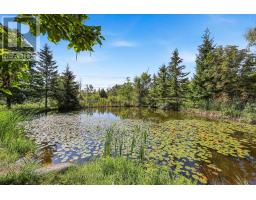 10 Springhome Road, Oro Medonte, ON L0L1T0 Photo 44