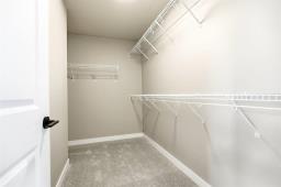 287 Bill Briercliffe Drive, Winnipeg, MB R3W0S9 Photo 18